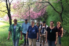 Wandertag Wiesbaden/Frauenstein am 22.04.18