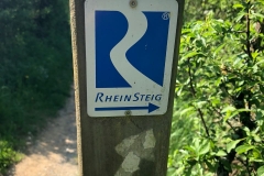 Wandertag Wiesbaden/Frauenstein am 22.04.18