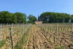 Wandertag Wiesbaden/Frauenstein am 22.04.18