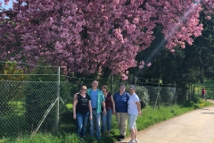 Wandertag Wiesbaden/Frauenstein am 22.04.18