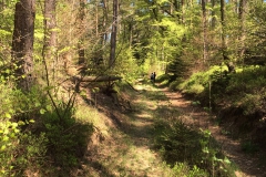 Vatertagswanderung Hatzbachtal