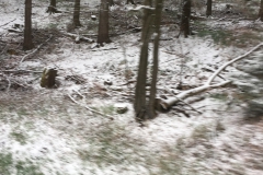Wanderung in Nepthen-Deuz