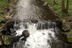 Wanderung in Nepthen-Deuz