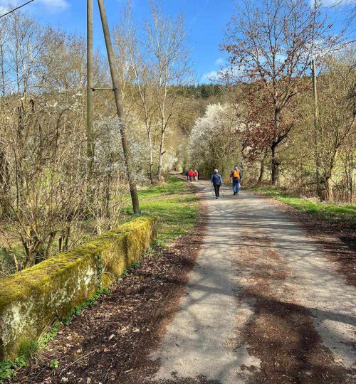 märzenbecher wanderung in homberg am 17.03.24 (3)