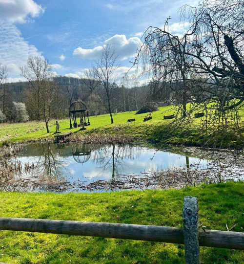 märzenbecher wanderung in homberg am 17.03.24 (4)