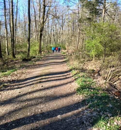 naturerlebnispfad niederwalgern am 06.04.25 (2)
