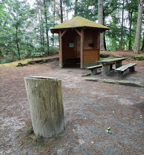 sonntagswanderung in oberrosphe am 02.06.24 (3)