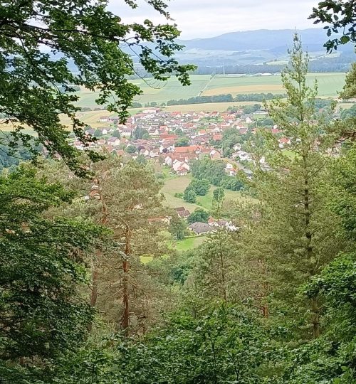 sonntagswanderung in oberrosphe am 02.06.24 (5)